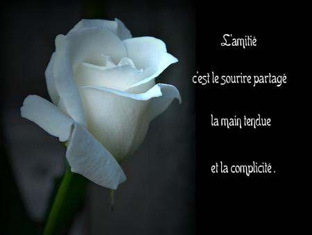 Dans ce monde Virtuel
